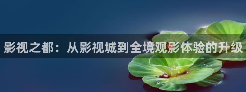九九影院在线观看免费最新电视剧