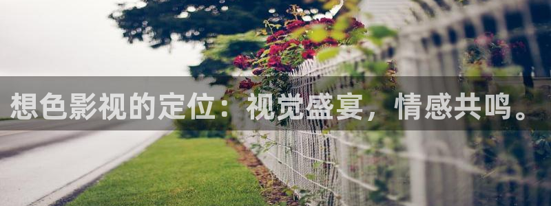 九九在线观看精彩视频